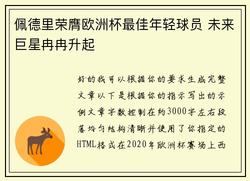 佩德里荣膺欧洲杯最佳年轻球员 未来巨星冉冉升起